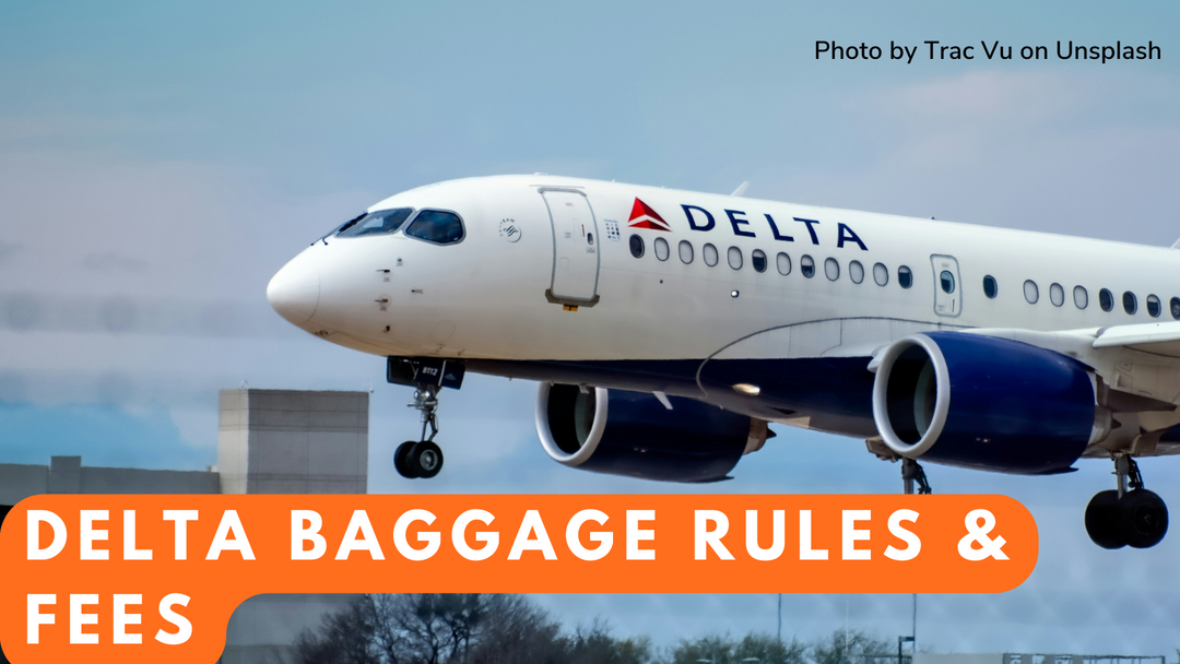 The Ultimate Delta Airlines Baggage Allowance In 2025