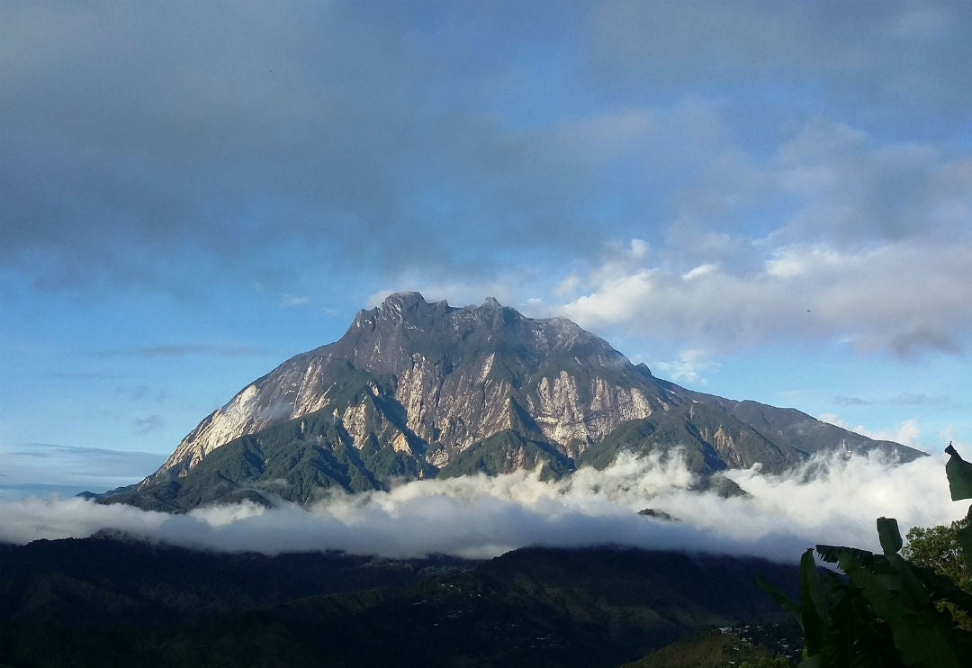 Mount Kinabalu: A climb to paradise